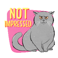 Unimpressed No Thank You Sticker by Allen & Unwin