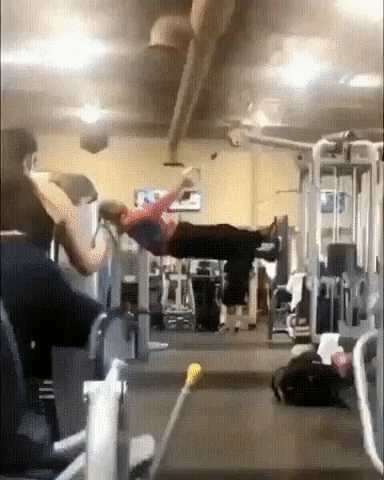 GIF by hamlet