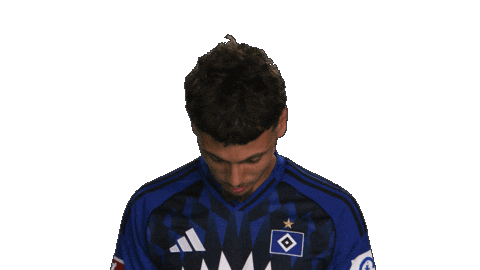 Look Up Hamburger Sv Sticker by Bundesliga
