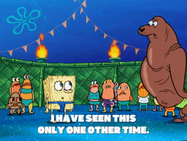 season 6 GIF by SpongeBob SquarePants