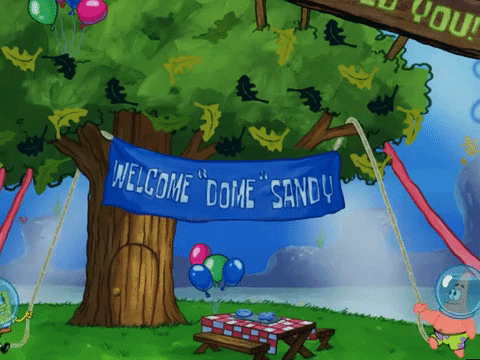 season 5 episode 10 GIF by SpongeBob SquarePants