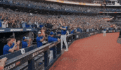 Blue Jays Baseball GIF by Toronto Blue Jays
