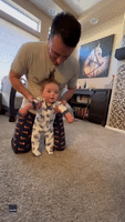 Howling Husky Offers Some Brotherly Encouragement as Baby Takes Supported Steps