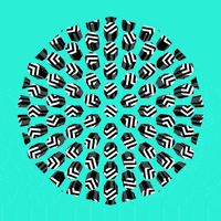 zig zag stripes GIF by Dominic Ewan