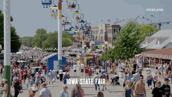 GIF by VICE DOES AMERICA
