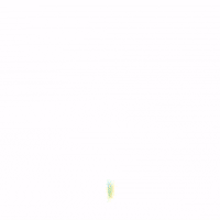 TropicalAW  GIF