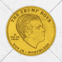 patrickhosmer trump idiot maga worthless GIF