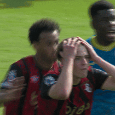 Premier League What GIF by AFC Bournemouth