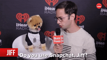 Interview Selfie GIF by BuzzFeed