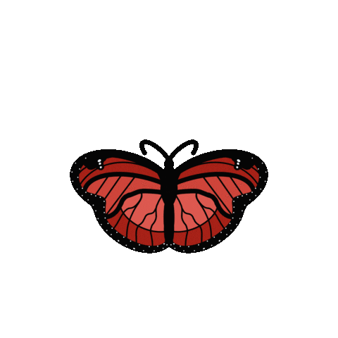 Fly Butterfly Sticker