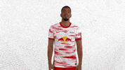 Football Thumbs Down GIF by RB Leipzig
