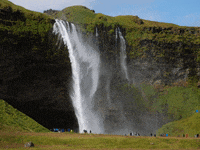 Fitbox Franchisegeber Award Deutschen Franchiseverband Dfv GIF by FranchiseONE.de