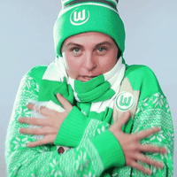 World Cup Reaction GIF by VfL Wolfsburg
