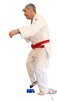 Grappling Martial Arts Sticker by NA Effective Fighting