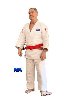 Grappling Martial Arts Sticker by NA Effective Fighting