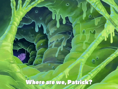 season 4 GIF by SpongeBob SquarePants