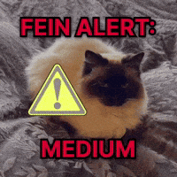 Feinfein2014 GIF