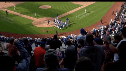 davyandrews giphyupload GIF