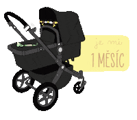 Baby Czech Sticker