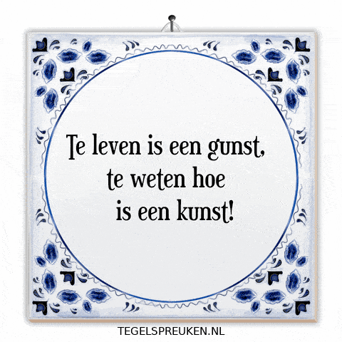 Humor Reflectie GIF by Tegelspreuken.nl