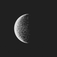 black and white art GIF by Mathew Lucas 