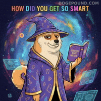 Big Brain Dog GIF by Doge Pound