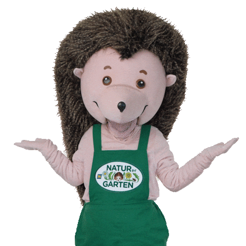 No Clue Hedgehog Sticker by naturimgarten