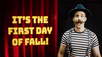 Sweater Weather Fall GIF by Sethward