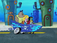 season 8 GIF by SpongeBob SquarePants