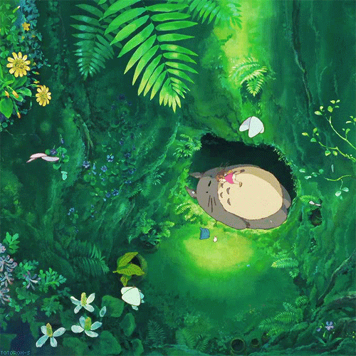 hayao miyazaki GIF