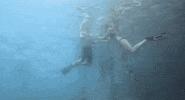 mark burnett fun GIF by Coupled 