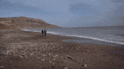 Water Love GIF by Rhiannon Giddens