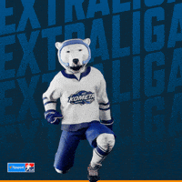 Hockey Hokej GIF by Tipsport extraliga