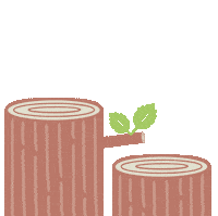 Wildlife Seasons Sticker