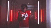 Football Chest Pound GIF by Wisconsin Badgers