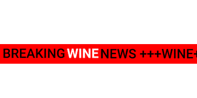 Fine Wine Sticker by WINE + PARTNERS