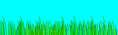 grass GIF