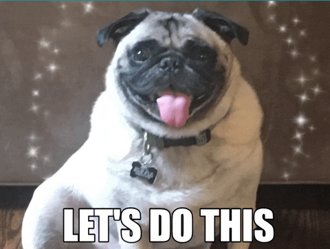 JuliaChester giphygifmaker dogs motivation pug GIF