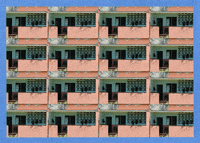 angyrecorta  GIF