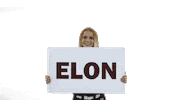 Elon Softball Sticker by Elon Phoenix