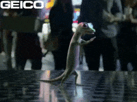Dance Dancing GIF by GEICO