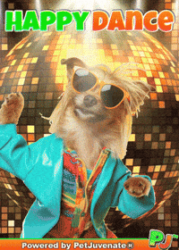 Happy Dance Excited Fri Yay Friday Pj Petjuvenate Dog Mom And Pet Parent Caretakers GIF by PetJuvenate - PJ
