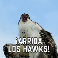 ¡Vamos Los Hawks!