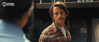 Season 1 What GIF by SHOWTIME