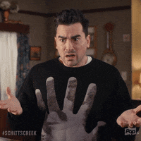 David Rose What GIF by Schitt's Creek