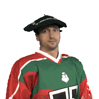 AngletHormadi hockey anglet ligue magnus liguemagnus Sticker