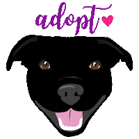 Adopt Pit Bull Sticker by HeARTs Speak