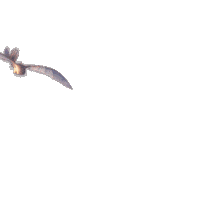 fly flying Sticker by How To Train Your Dragon