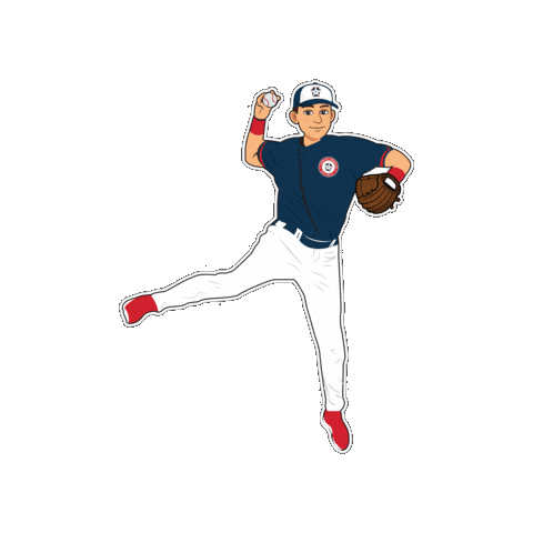 Teamallamerican Sticker by All American Baseball