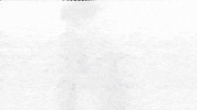 art fashion GIF by Okkult Motion Pictures